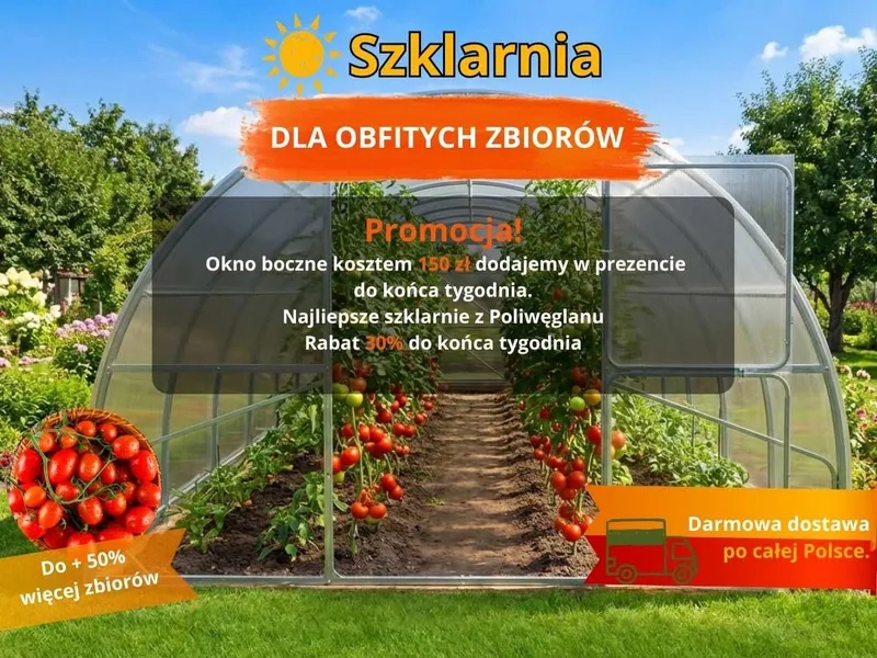 Promocja