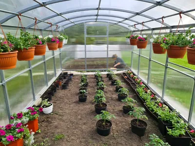 Szklarnia z poliwęglanu ETL "GERA"