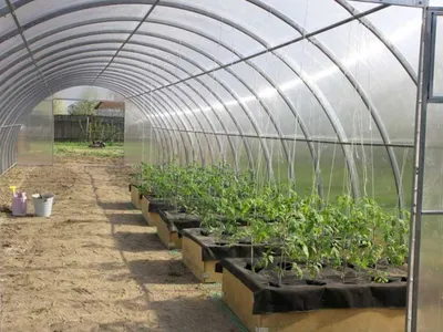 Szklarnia z poliwęglanu ETL "Zofia"