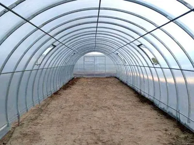 Szklarnia z poliwęglanu ETL "Zofia"